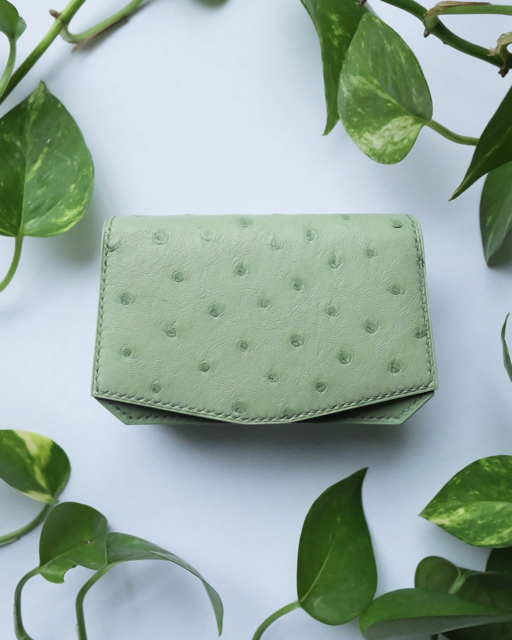 Atelier Dast - Signature Coin Purse - Ostrich - Apple Green